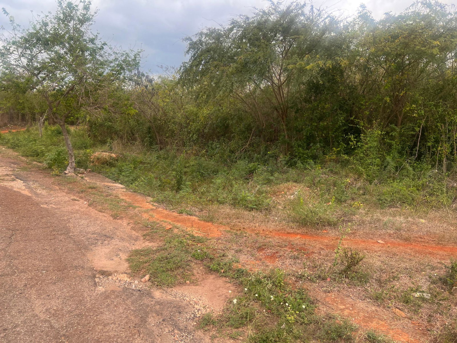 Eighth image of St. Hilda Road, Green Acr in Green Acres, St. Catherine, Jamaica - property is For Sale