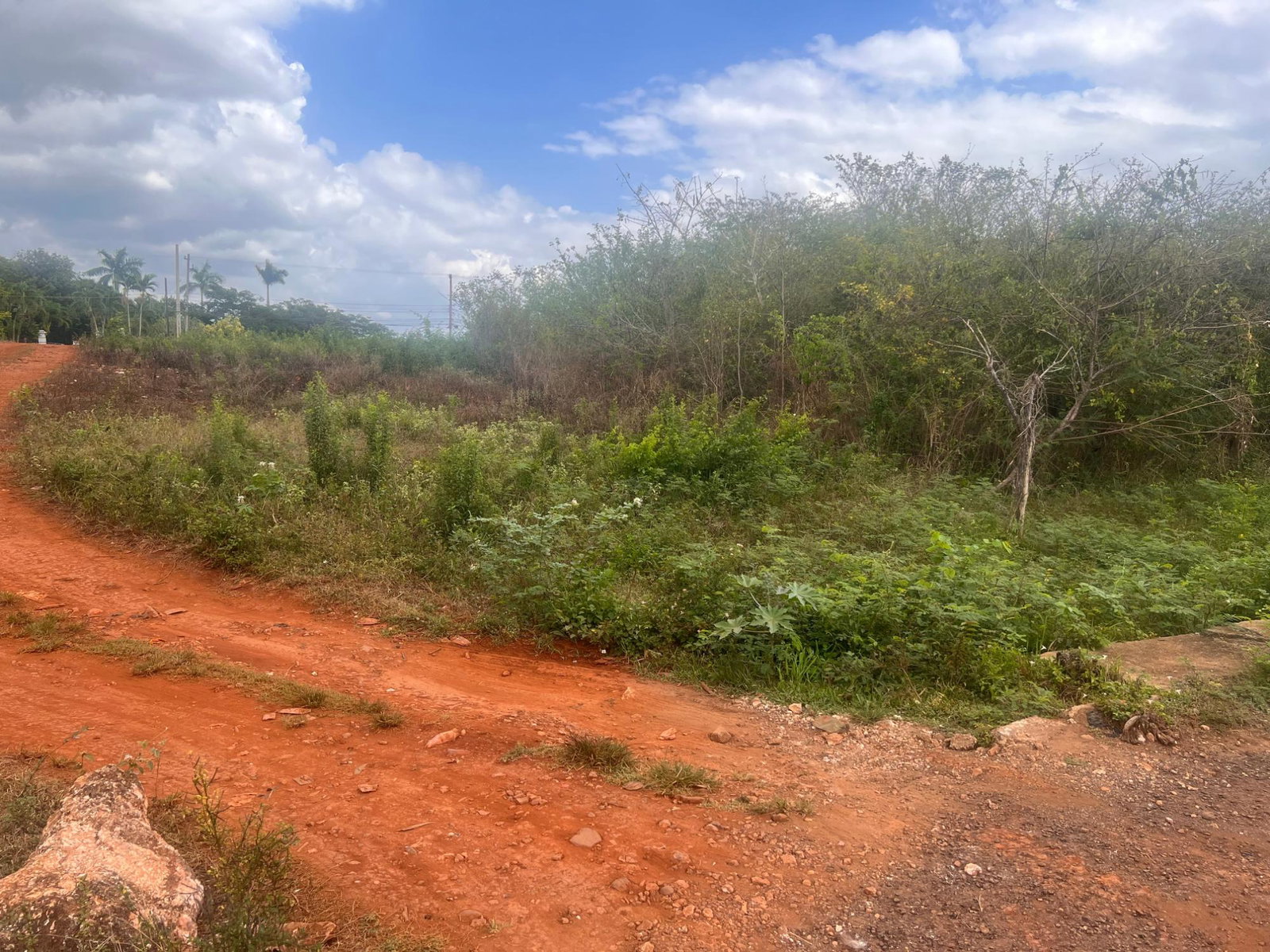 Ninth image of St. Hilda Road, Green Acr in Green Acres, St. Catherine, Jamaica - property is For Sale