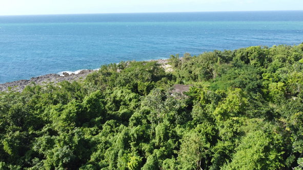 Fourteenth image of Cousin’s Cove in Cousins Cove, Hanover, Jamaica - property is For Sale