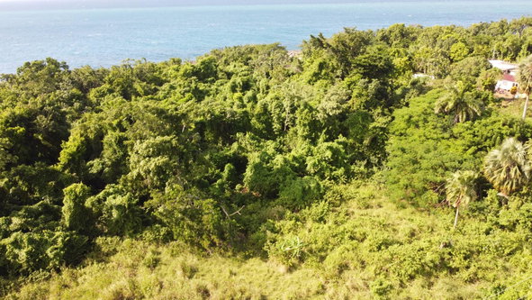 Sixteenth image of Cousin’s Cove in Cousins Cove, Hanover, Jamaica - property is For Sale