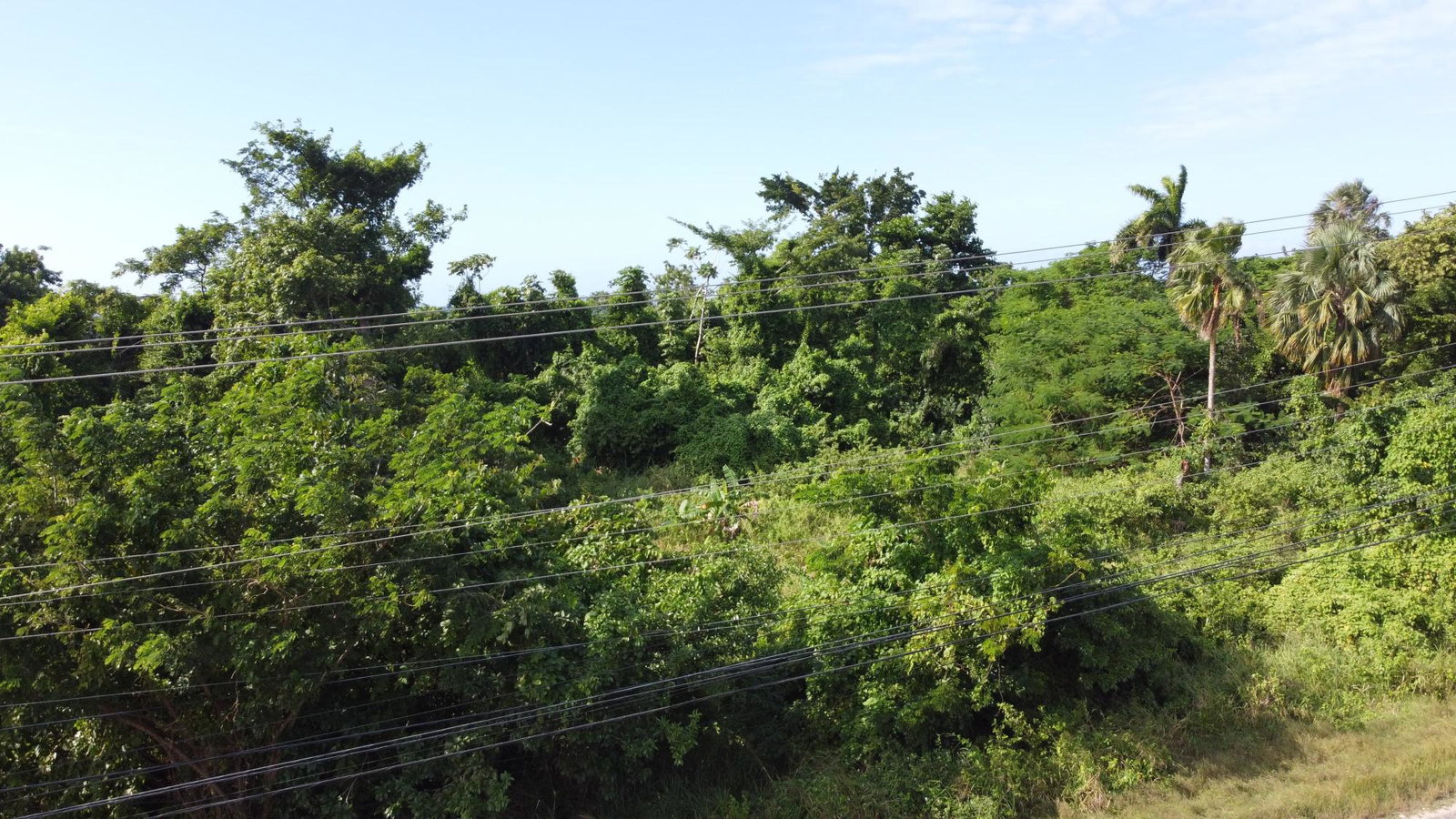 Third image of Cousin’s Cove in Cousins Cove, Hanover, Jamaica - property is For Sale