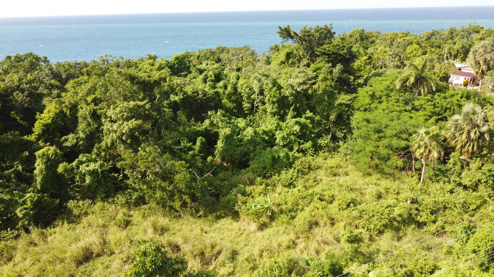 Twenty-Second image of Cousin’s Cove in Cousins Cove, Hanover, Jamaica - property is For Sale