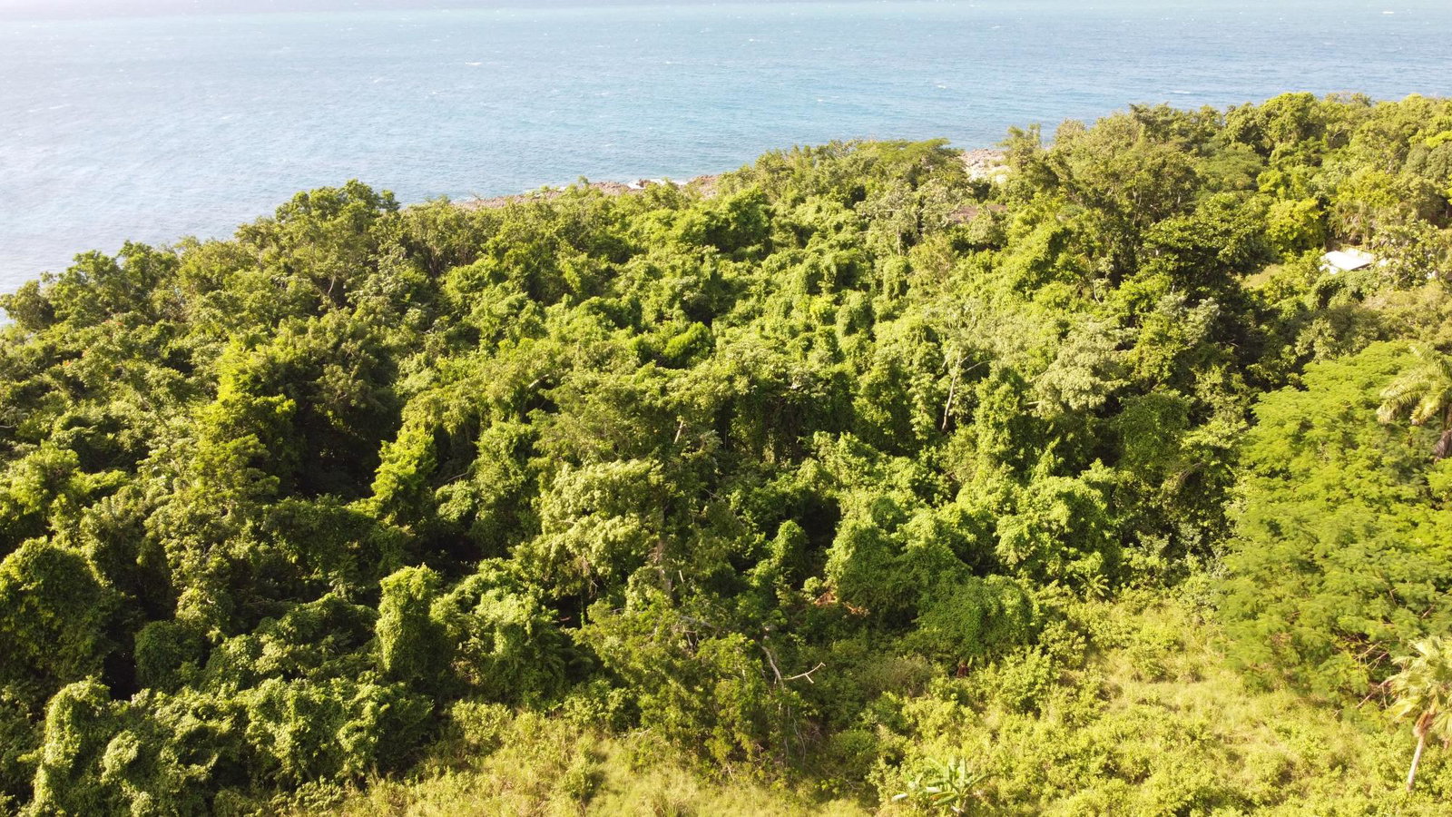 Twenty-Sixth image of Cousin’s Cove in Cousins Cove, Hanover, Jamaica - property is For Sale