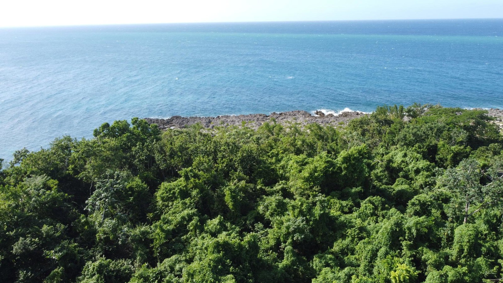 Sixth image of Cousin’s Cove in Cousins Cove, Hanover, Jamaica - property is For Sale