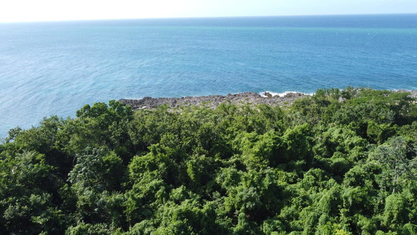 Seventh image of Cousin’s Cove in Cousins Cove, Hanover, Jamaica - property is For Sale