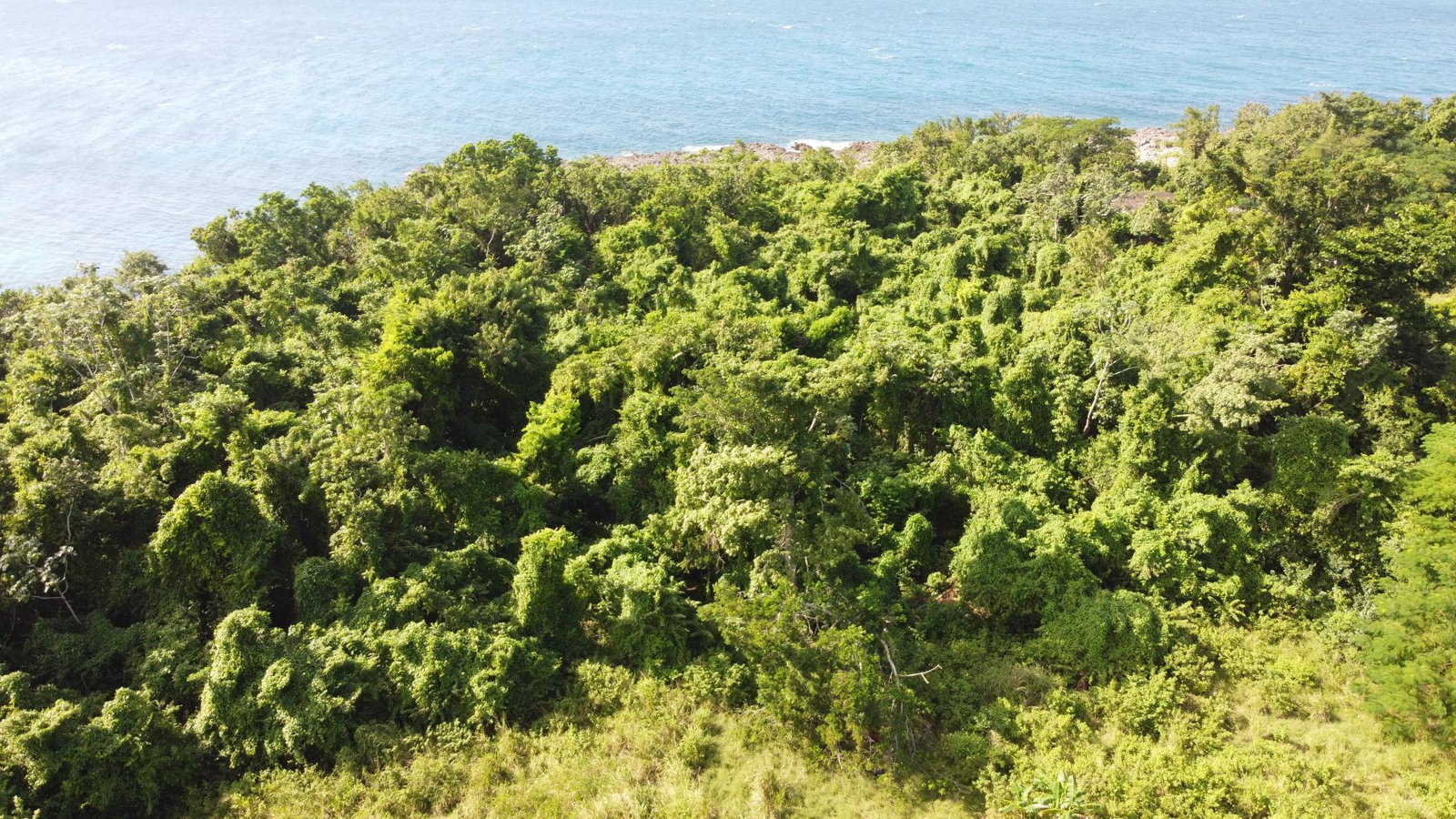 Eighth image of Cousin’s Cove in Cousins Cove, Hanover, Jamaica - property is For Sale