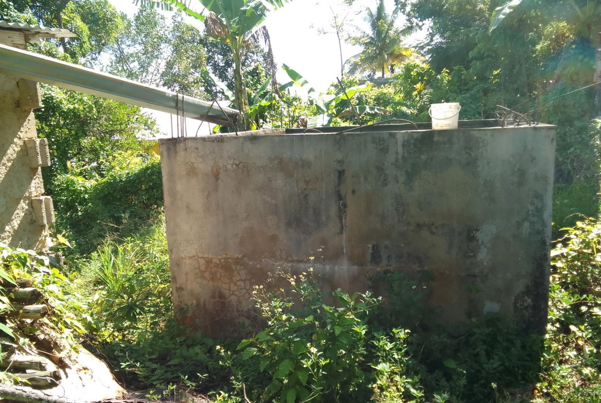Sixth image of Part of Mocho Called Foga in Mocho, Clarendon, Jamaica - property is For Sale