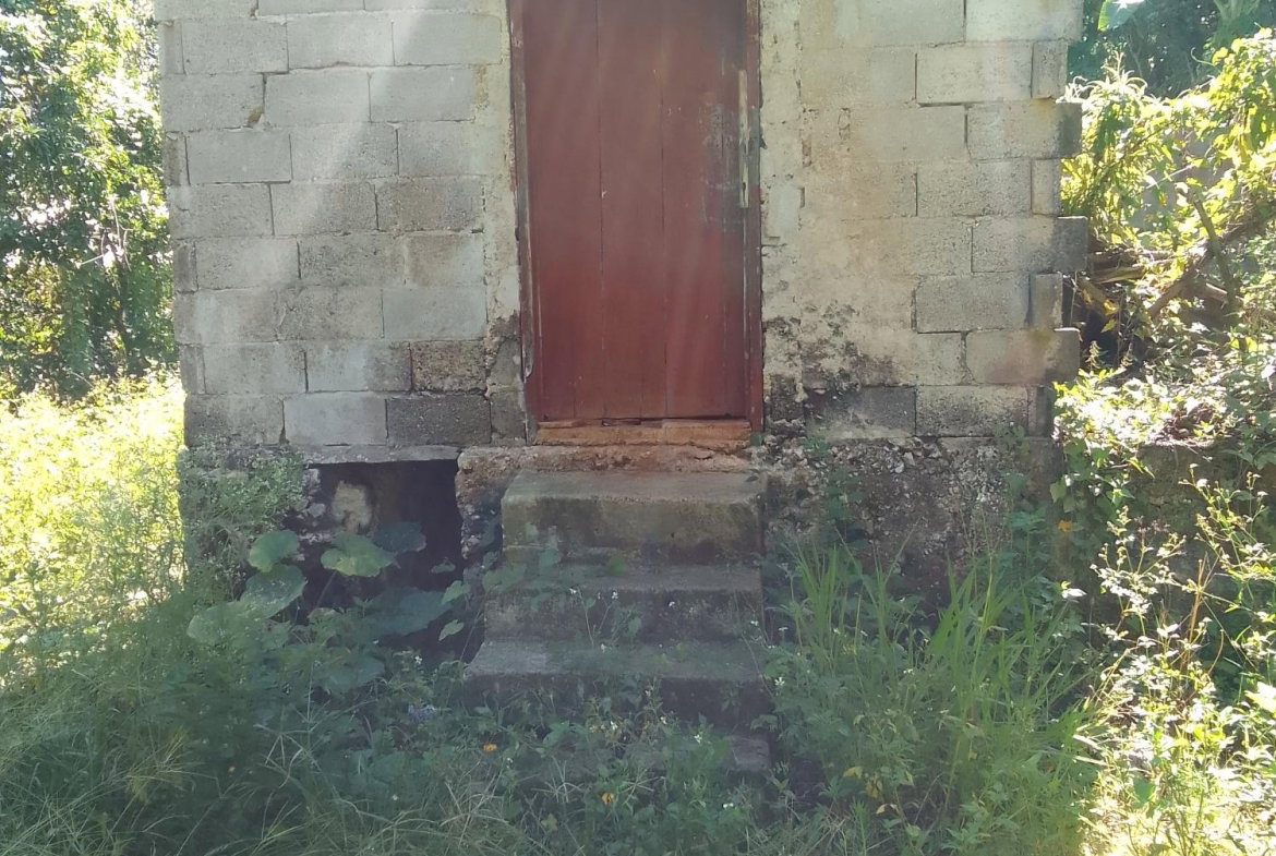 Seventh image of Part of Mocho Called Foga in Mocho, Clarendon, Jamaica - property is For Sale