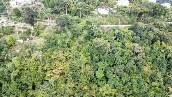 Third image of Hermitage Dam Road in Kingston 8, St. Andrew, Jamaica - property is For Sale