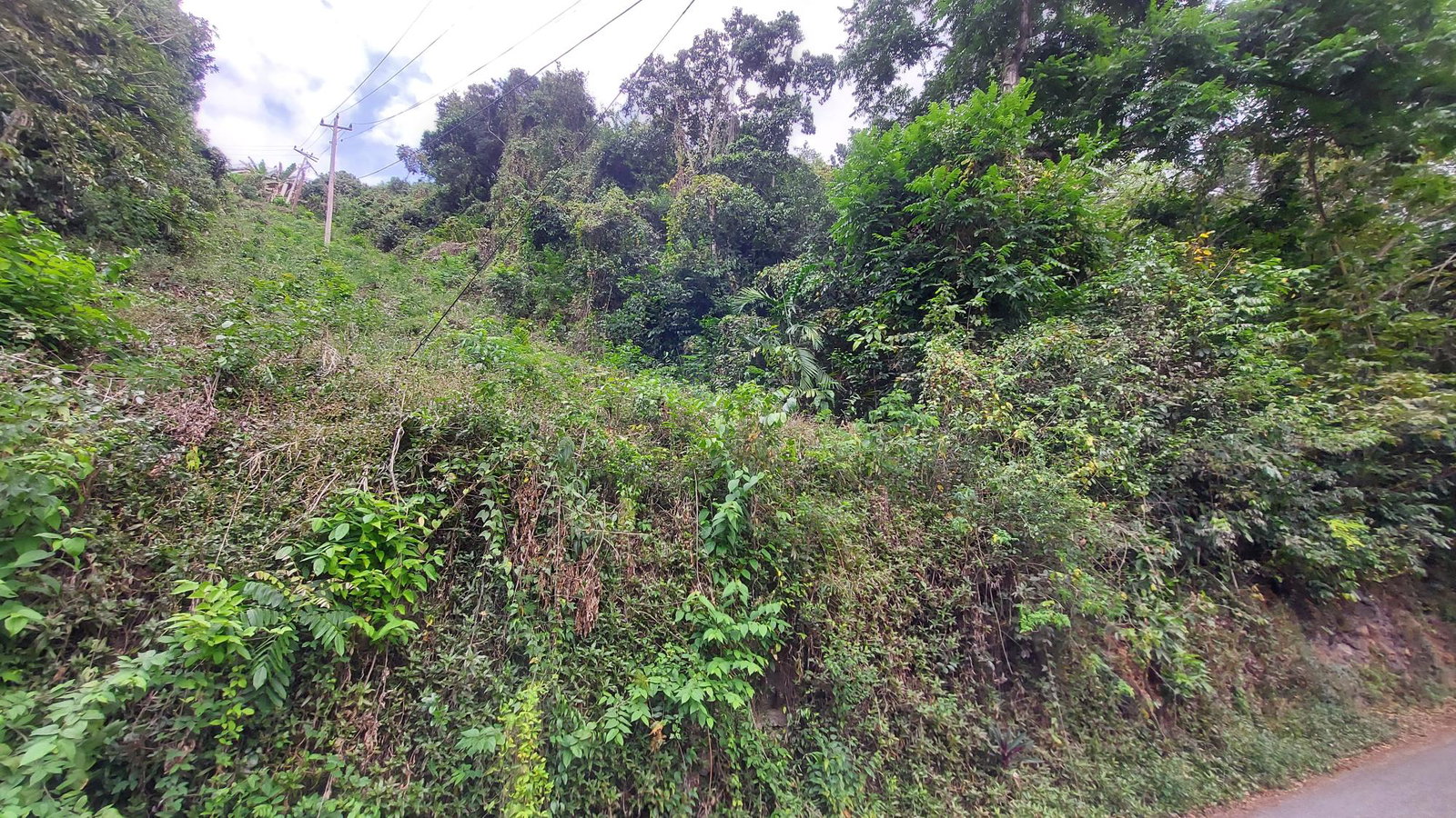 Sixth image of Hermitage Dam Road in Kingston 8, St. Andrew, Jamaica - property is For Sale