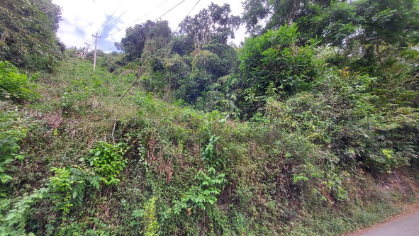 Sixth image of Hermitage Dam Road in Kingston 8, St. Andrew, Jamaica - property is For Sale