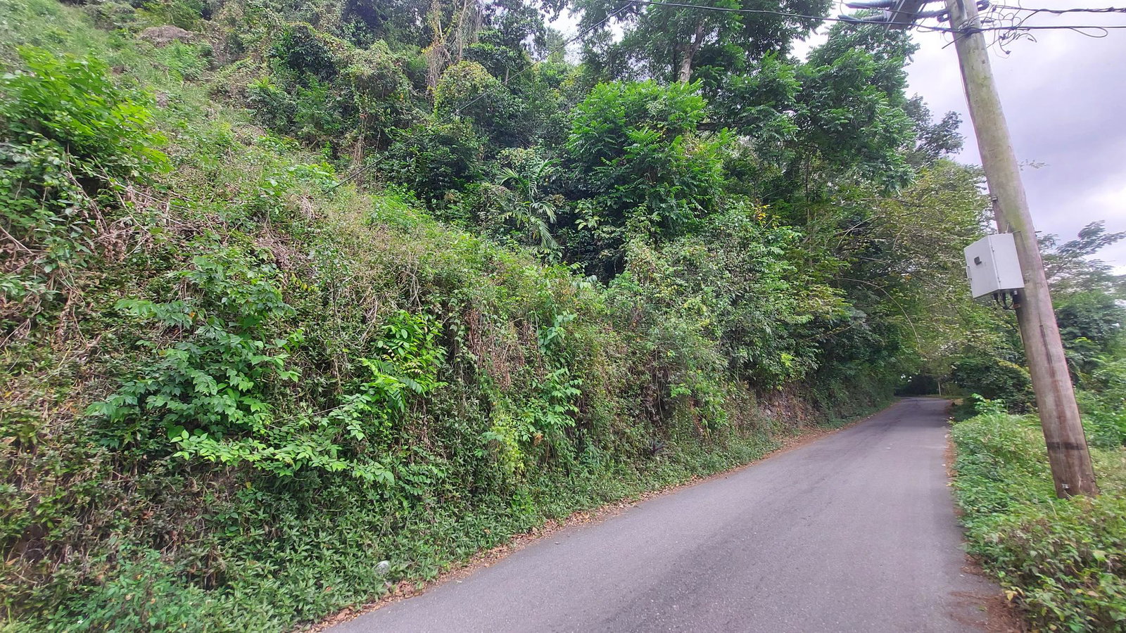 Seventh image of Hermitage Dam Road in Kingston 8, St. Andrew, Jamaica - property is For Sale