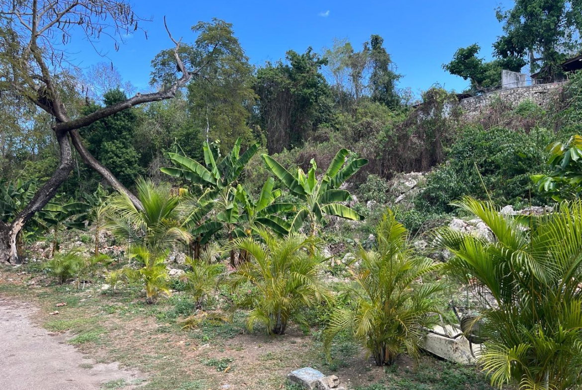 Second image of 36 & 38 Queens Dr., St. James in White Sands Beach, St. James, Jamaica - property is For Sale