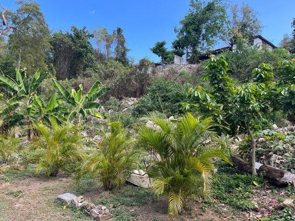 Third image of 36 & 38 Queens Dr., St. James in White Sands Beach, St. James, Jamaica - property is For Sale