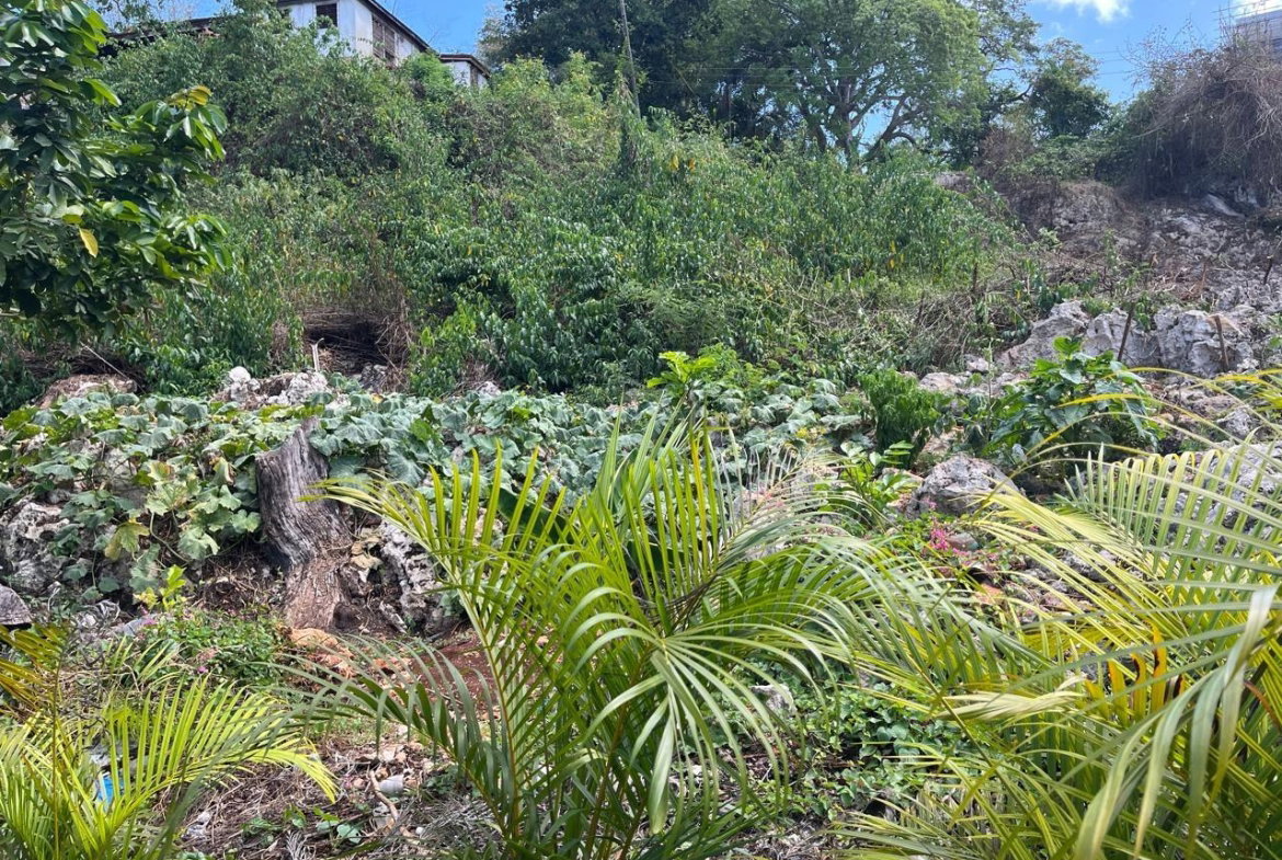 Fifth image of 36 & 38 Queens Dr., St. James in White Sands Beach, St. James, Jamaica - property is For Sale