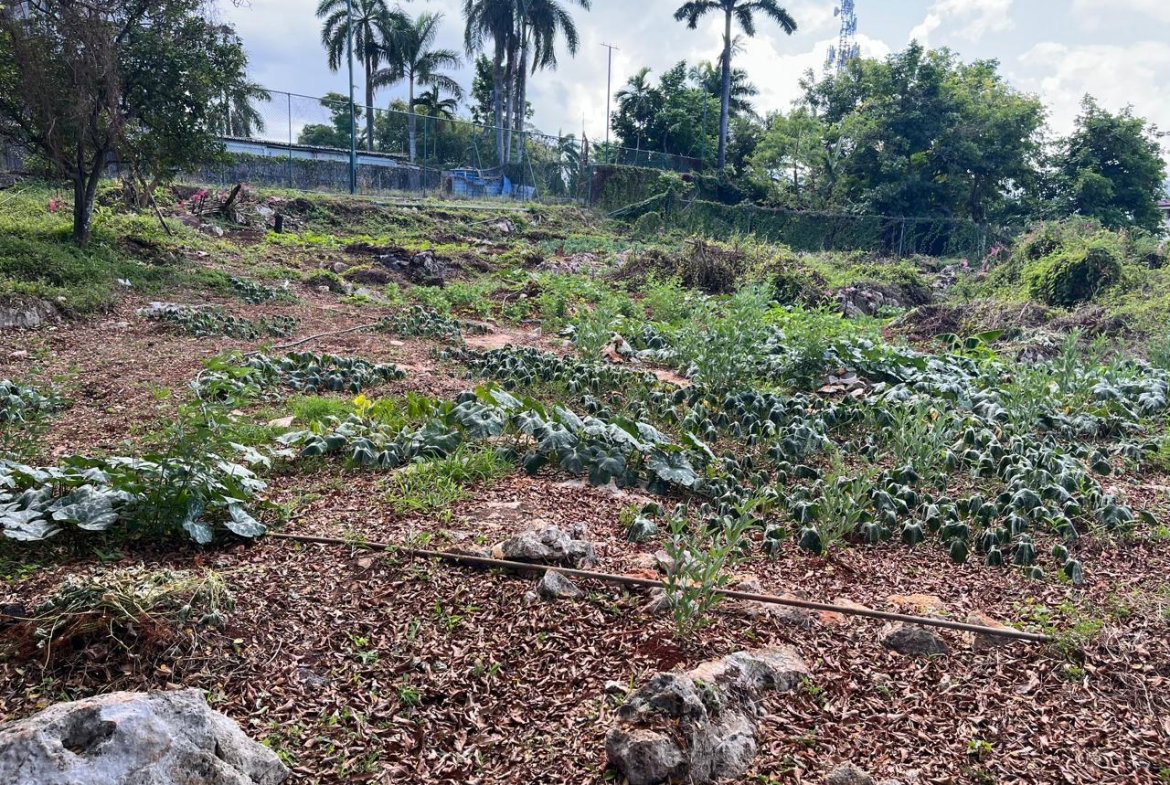 Eighth image of 36 & 38 Queens Dr., St. James in White Sands Beach, St. James, Jamaica - property is For Sale