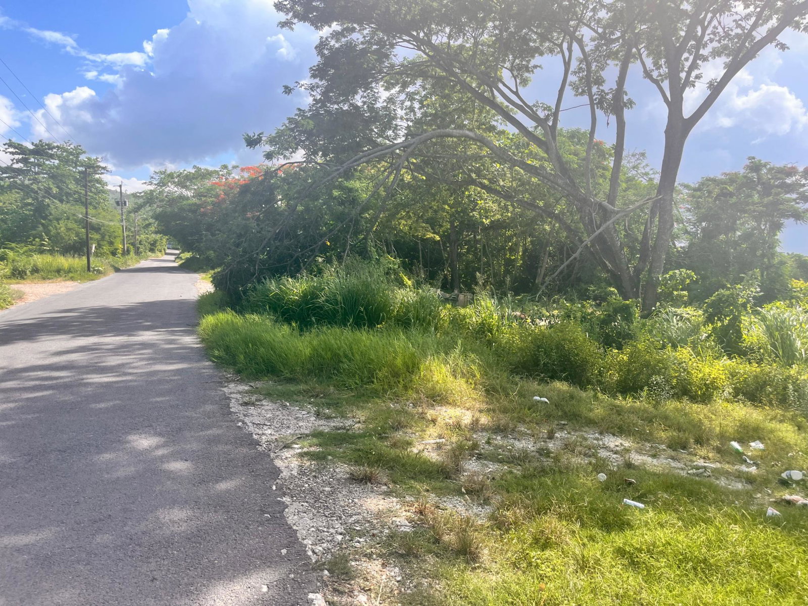 Thirteenth image of Lot 195 Beverley, st Ann in Runaway Bay, St. Ann, Jamaica - property is For Sale
