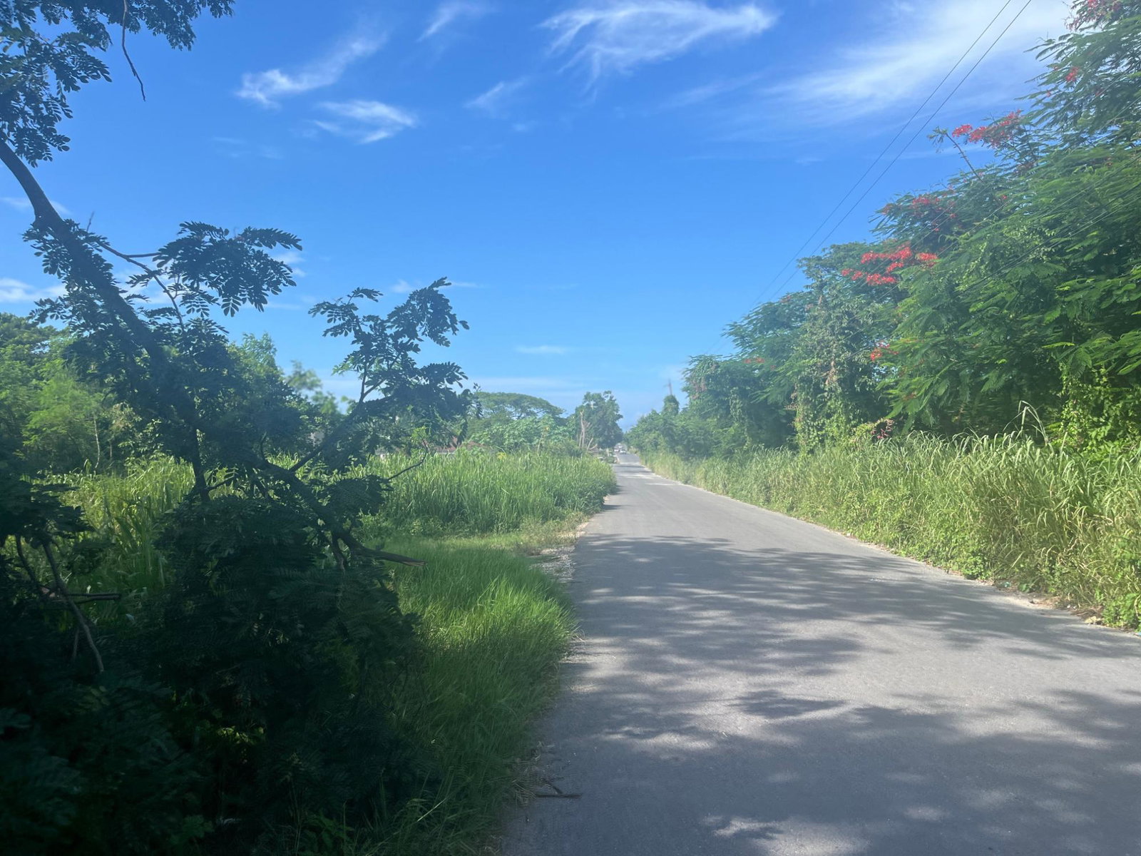 Fourteenth image of Lot 195 Beverley, st Ann in Runaway Bay, St. Ann, Jamaica - property is For Sale
