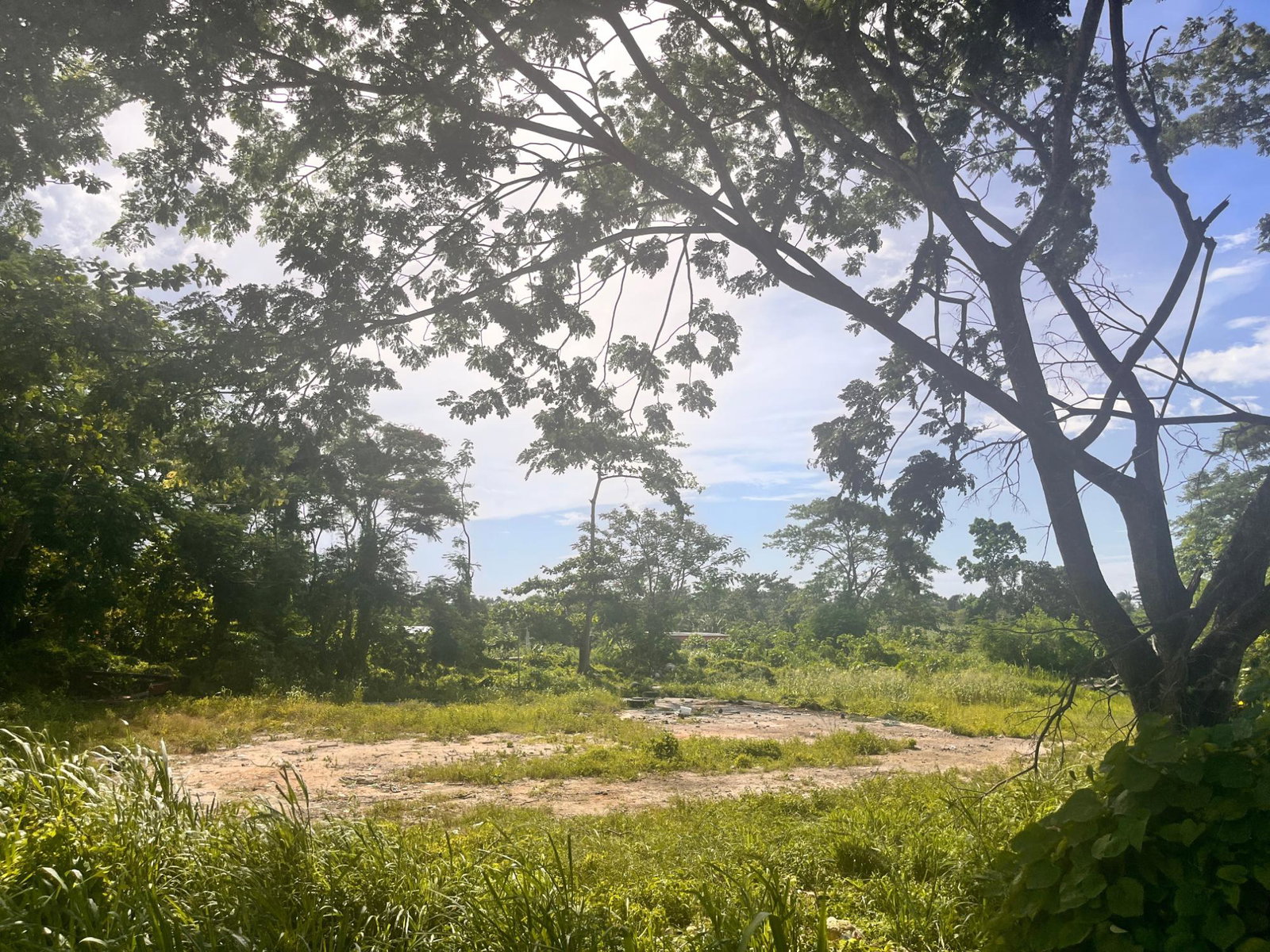 Eighth image of Lot 195 Beverley, st Ann in Runaway Bay, St. Ann, Jamaica - property is For Sale