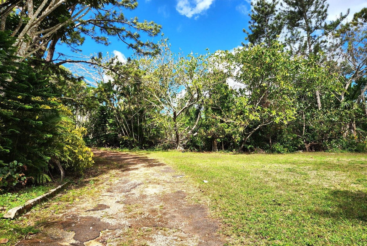 Fourth image of Main Street, Christiana in Christiana, Manchester, Jamaica - property is For Sale