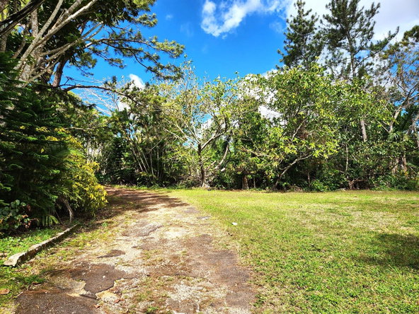 Fourth image of Main Street, Christiana in Christiana, Manchester, Jamaica - property is For Sale