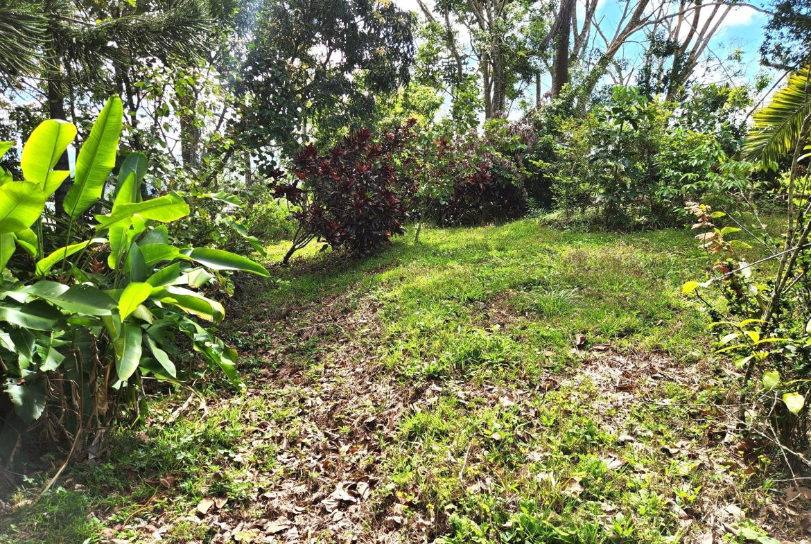 Eighth image of Main Street, Christiana in Christiana, Manchester, Jamaica - property is For Sale