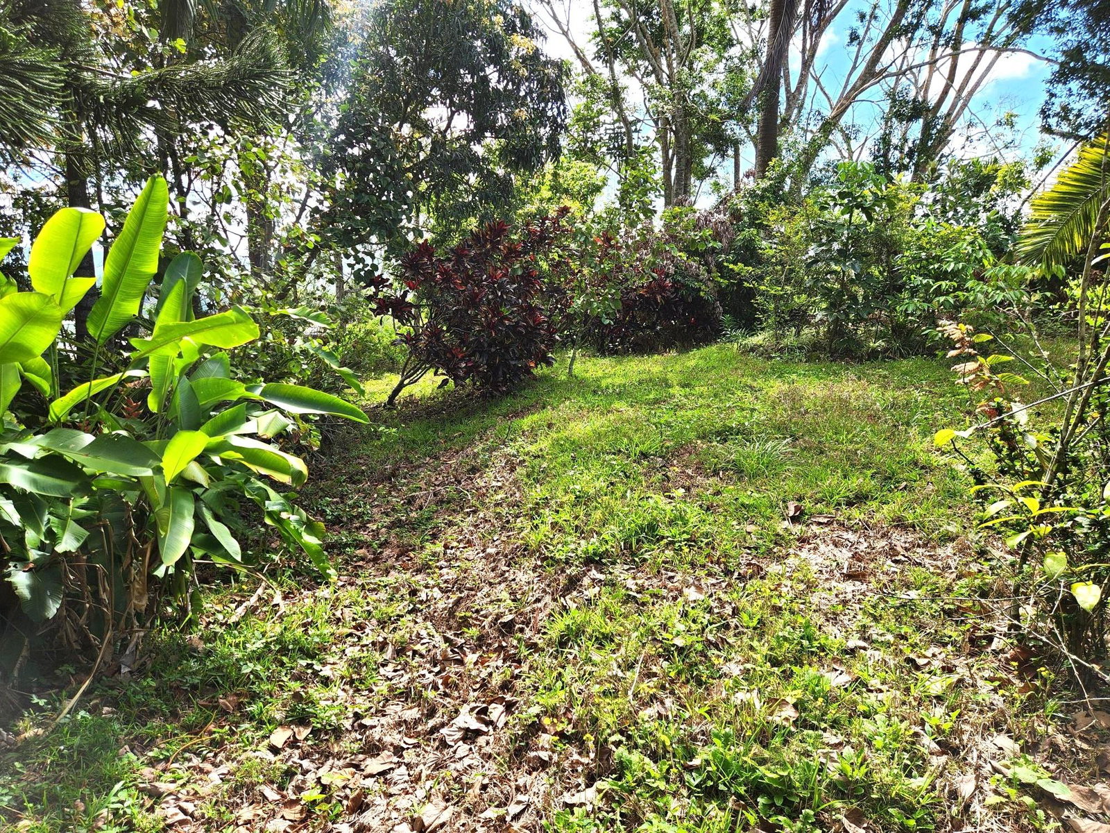 Eighth image of Main Street, Christiana in Christiana, Manchester, Jamaica - property is For Sale