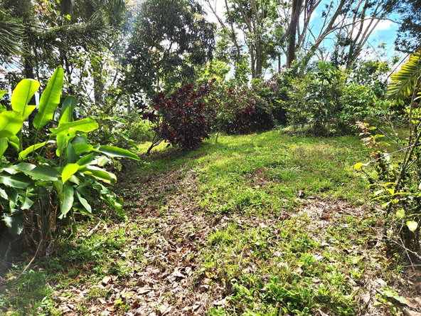 Eighth image of Main Street, Christiana in Christiana, Manchester, Jamaica - property is For Sale