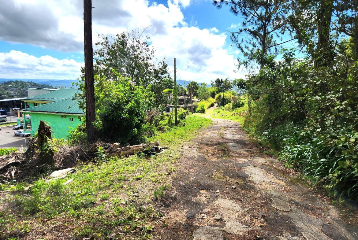 Ninth image of Main Street, Christiana in Christiana, Manchester, Jamaica - property is For Sale
