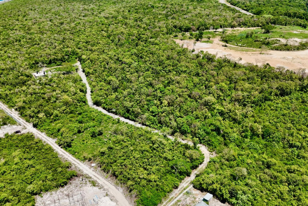 Sixth image of 58 Dairy Road in Discovery Bay, St. Ann, Jamaica - property is For Sale