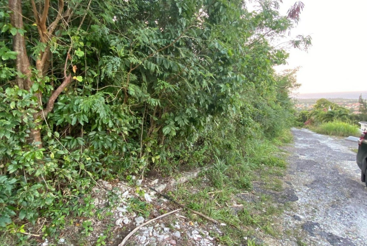 Second image of Part of Tanglewood in Tanglewood, St. Ann, Jamaica - property is For Sale