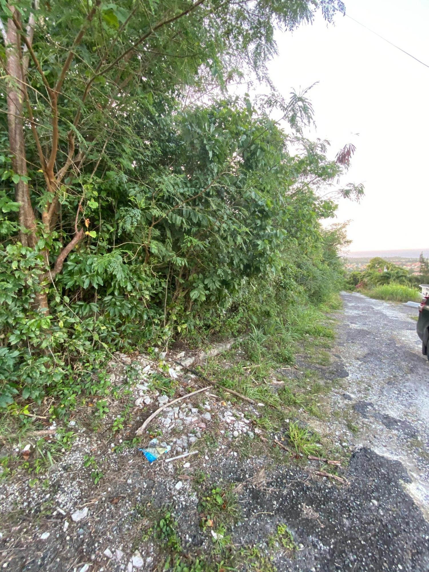 Prime-80.5-Acre-Development-Land-for-Sale-in-St.-Ann-Jamaica Second image of Part of Tanglewood in Tanglewood, St. Ann, Jamaica - property is For Sale