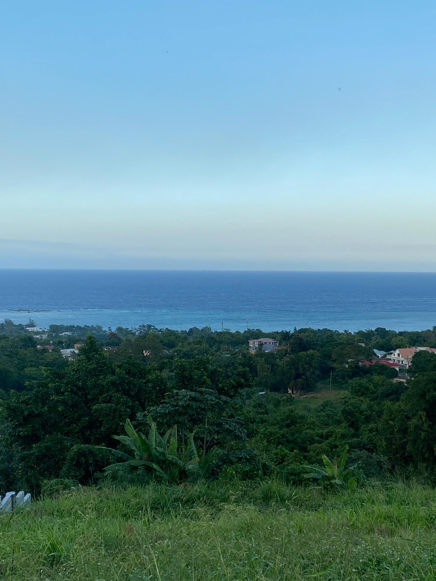Prime-80.5-Acre-Development-Land-for-Sale-in-St.-Ann-Jamaica Eleventh image of Part of Tanglewood in Tanglewood, St. Ann, Jamaica - property is For Sale