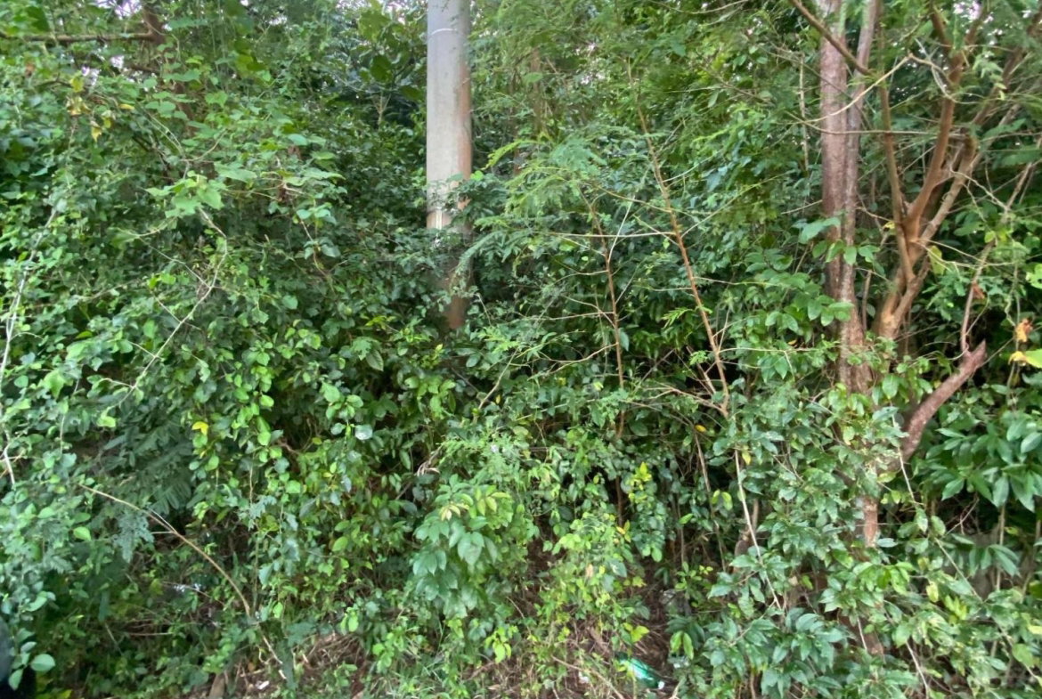 First image of Part of Tanglewood in Tanglewood, St. Ann, Jamaica - property is For Sale