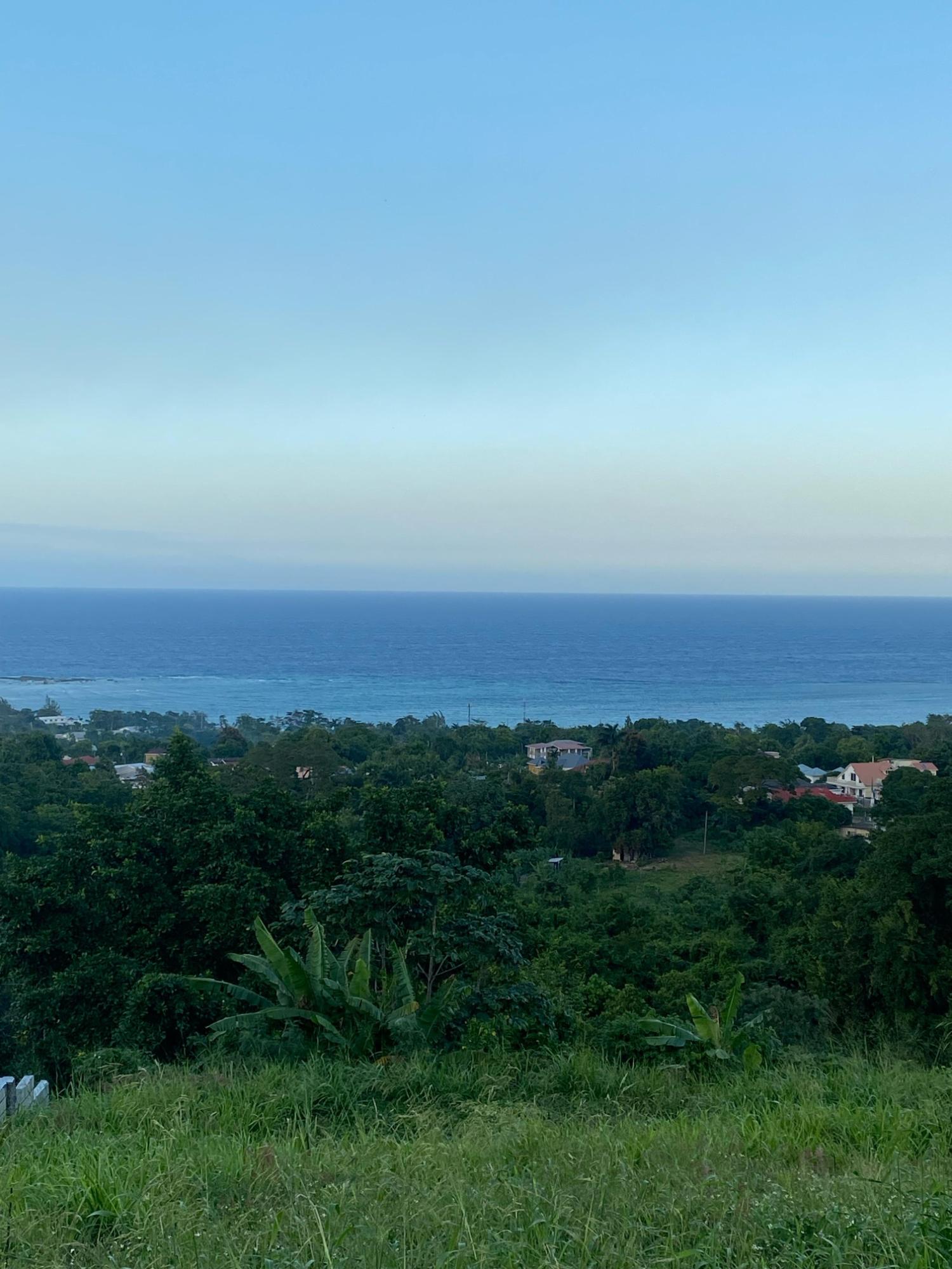 Prime-80.5-Acre-Development-Land-for-Sale-in-St.-Ann-Jamaica Thirteenth image of Part of Tanglewood in Tanglewood, St. Ann, Jamaica - property is For Sale