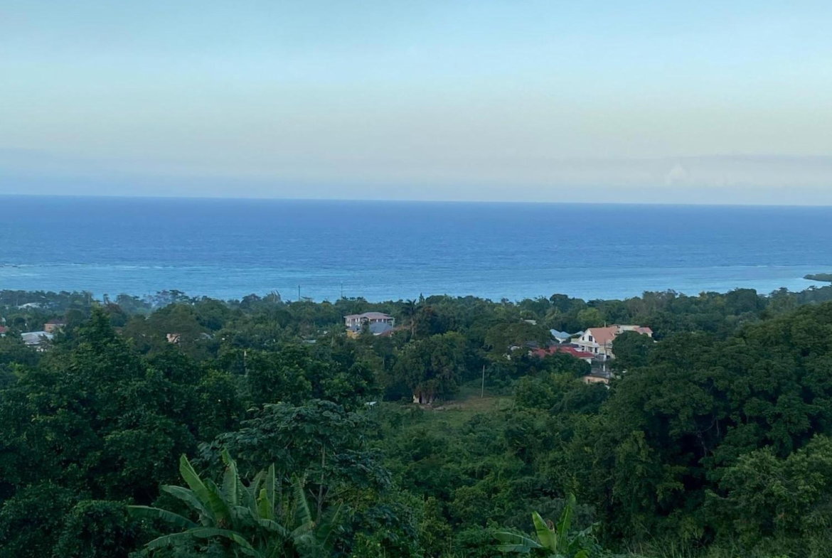Fourteenth image of Part of Tanglewood in Tanglewood, St. Ann, Jamaica - property is For Sale