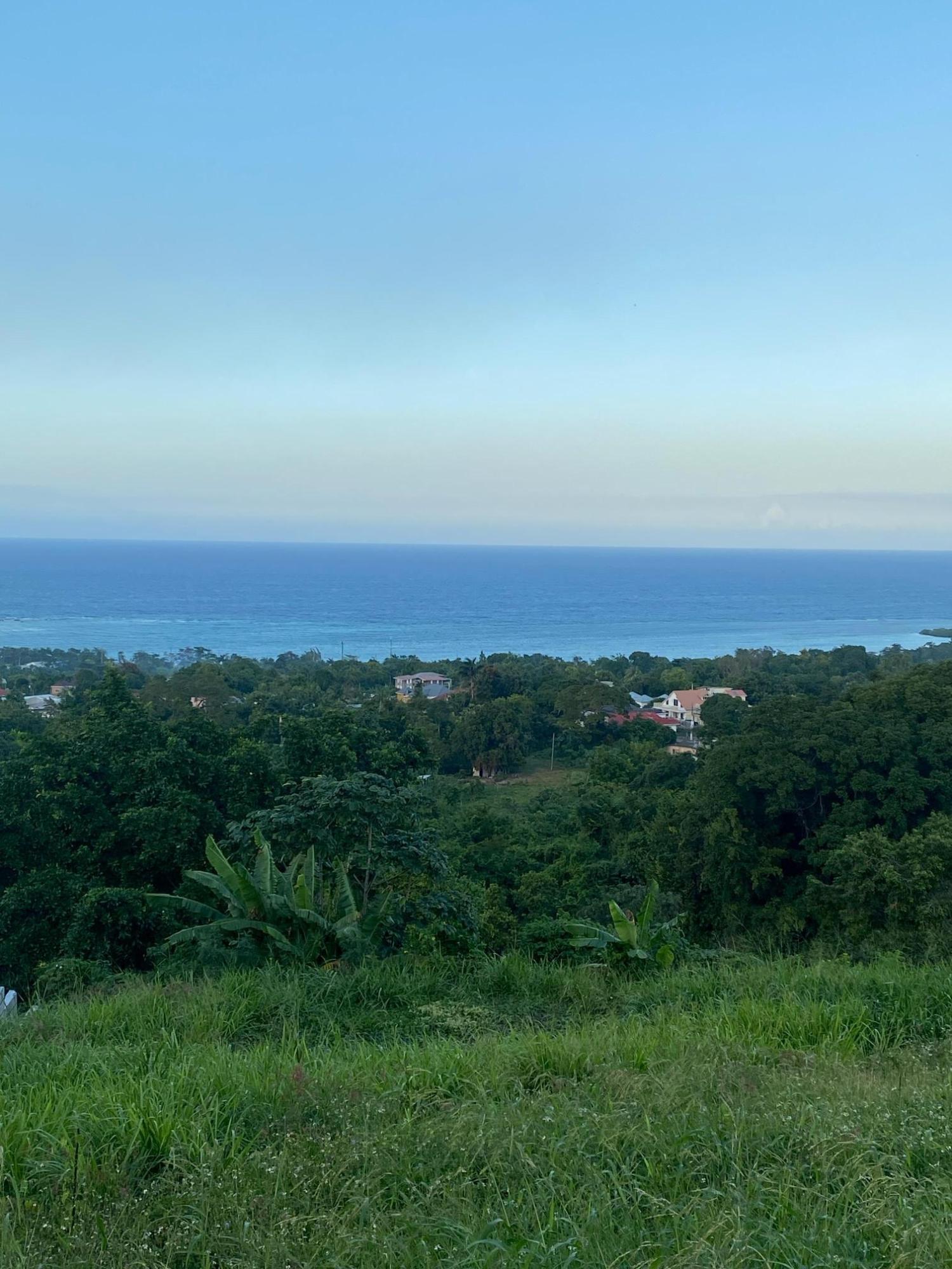 Prime-80.5-Acre-Development-Land-for-Sale-in-St.-Ann-Jamaica Fourteenth image of Part of Tanglewood in Tanglewood, St. Ann, Jamaica - property is For Sale