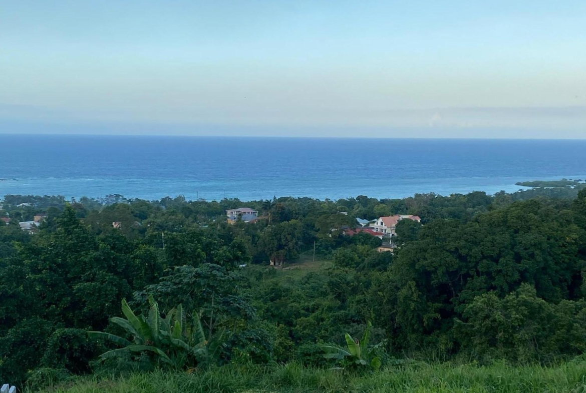 Fifteenth image of Part of Tanglewood in Tanglewood, St. Ann, Jamaica - property is For Sale