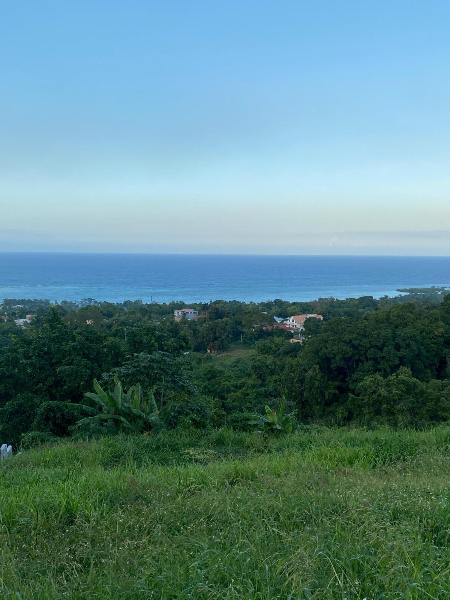 Prime-80.5-Acre-Development-Land-for-Sale-in-St.-Ann-Jamaica Fifteenth image of Part of Tanglewood in Tanglewood, St. Ann, Jamaica - property is For Sale