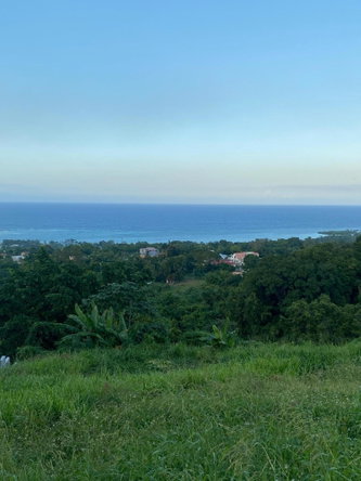 Fifteenth image of Part of Tanglewood in Tanglewood, St. Ann, Jamaica - property is For Sale