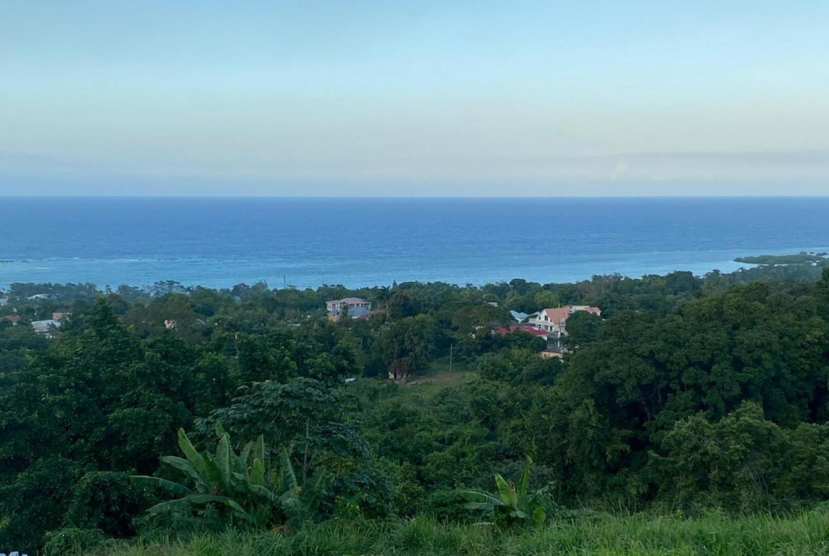 Sixteenth image of Part of Tanglewood in Tanglewood, St. Ann, Jamaica - property is For Sale