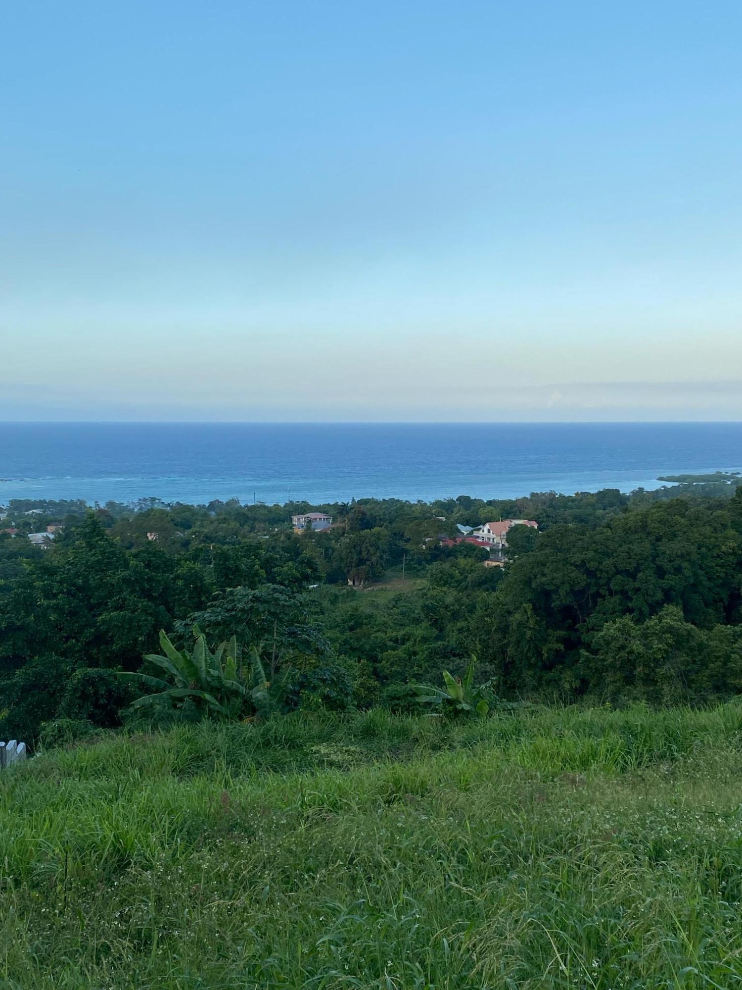 Prime-80.5-Acre-Development-Land-for-Sale-in-St.-Ann-Jamaica Sixteenth image of Part of Tanglewood in Tanglewood, St. Ann, Jamaica - property is For Sale