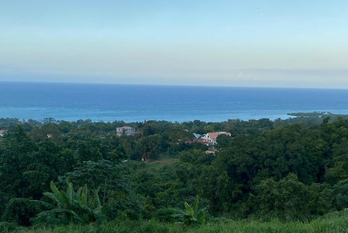 Seventeenth image of Part of Tanglewood in Tanglewood, St. Ann, Jamaica - property is For Sale