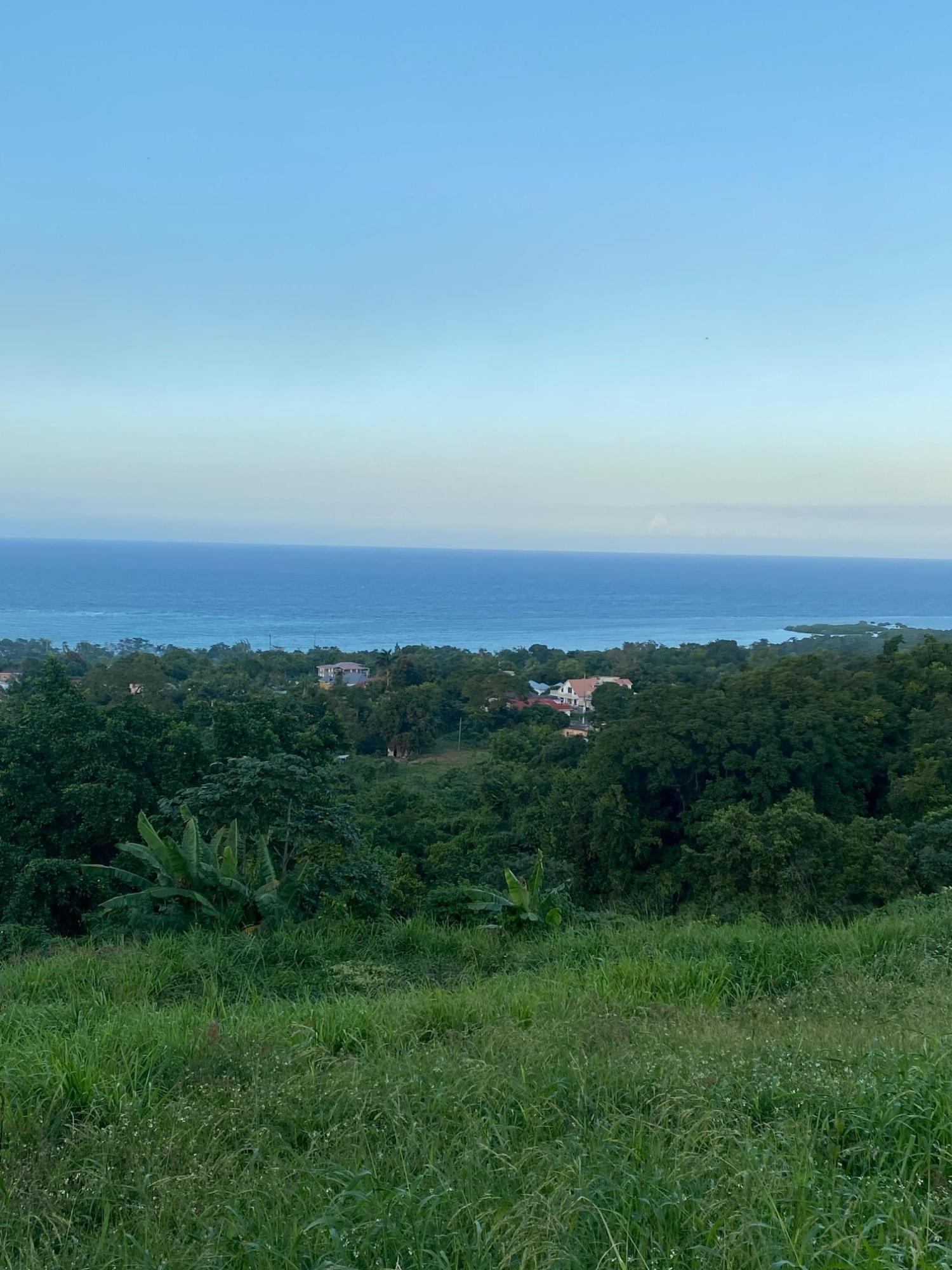 Prime-80.5-Acre-Development-Land-for-Sale-in-St.-Ann-Jamaica Seventeenth image of Part of Tanglewood in Tanglewood, St. Ann, Jamaica - property is For Sale