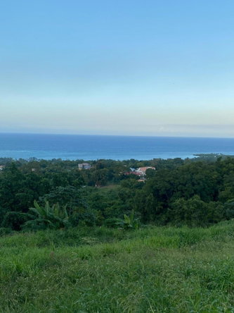 Seventeenth image of Part of Tanglewood in Tanglewood, St. Ann, Jamaica - property is For Sale