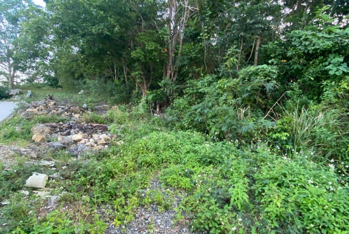 Eighteenth image of Part of Tanglewood in Tanglewood, St. Ann, Jamaica - property is For Sale