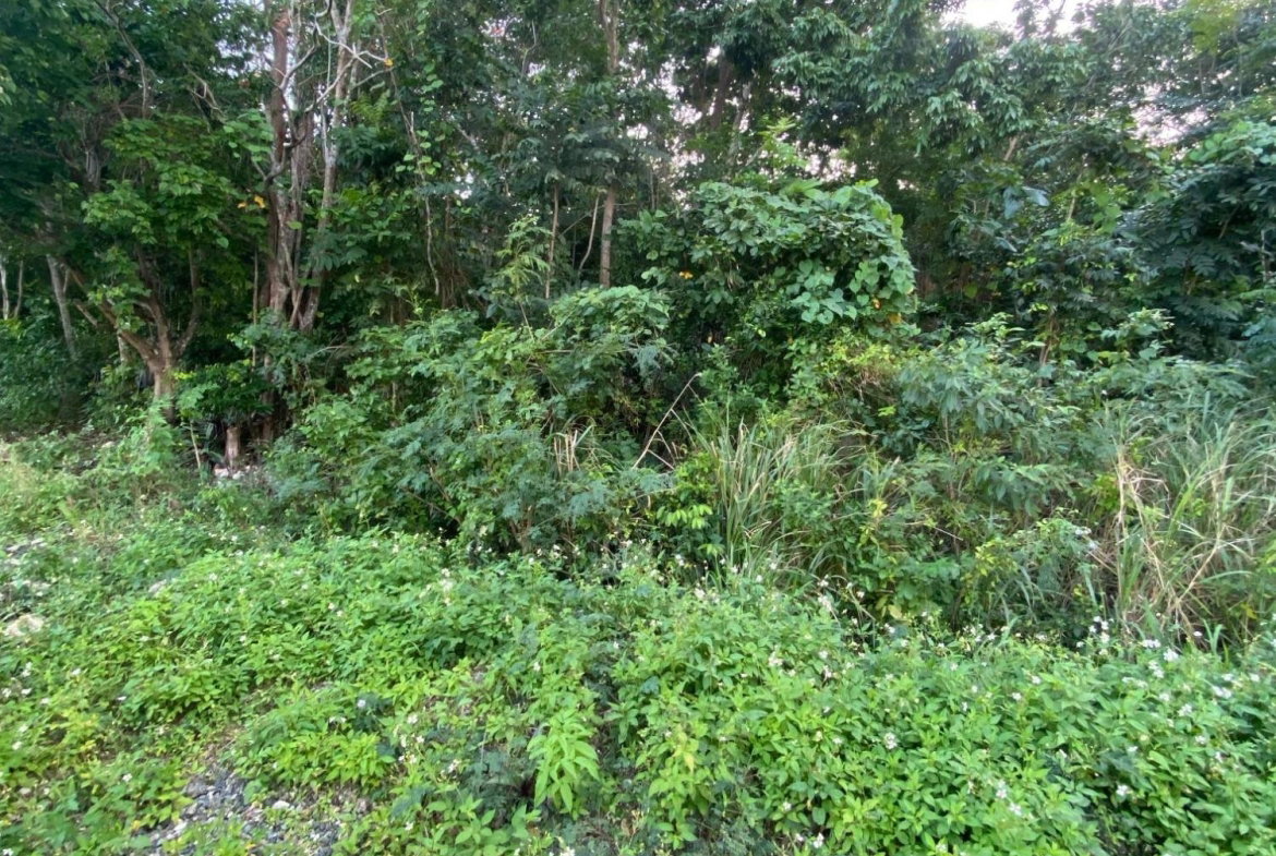 Twentieth image of Part of Tanglewood in Tanglewood, St. Ann, Jamaica - property is For Sale