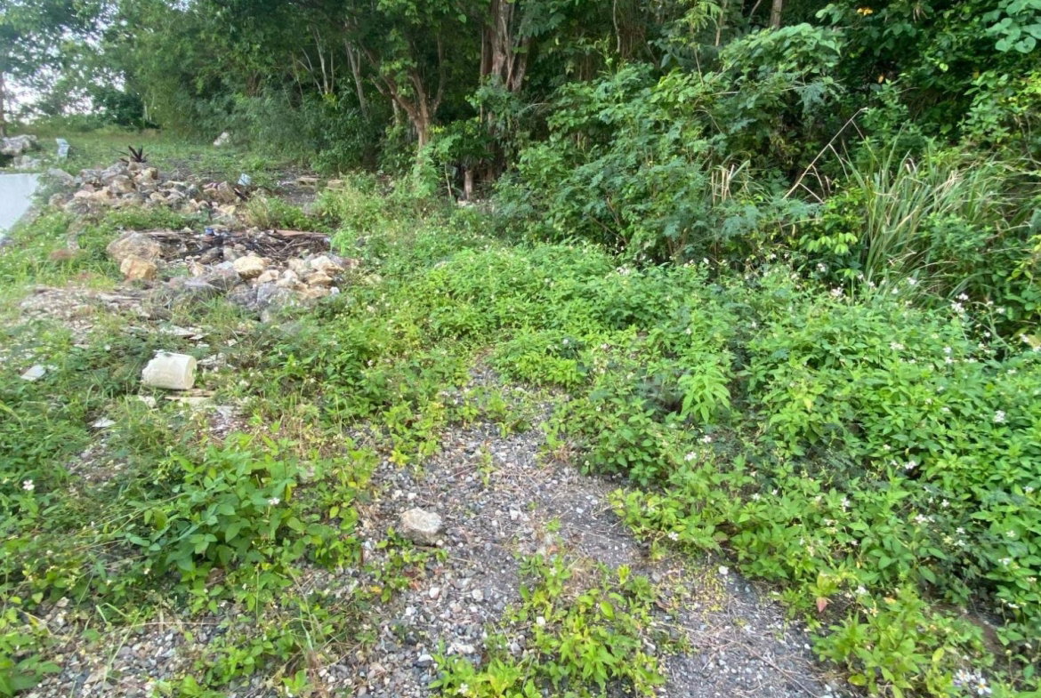 Twenty-Third image of Part of Tanglewood in Tanglewood, St. Ann, Jamaica - property is For Sale