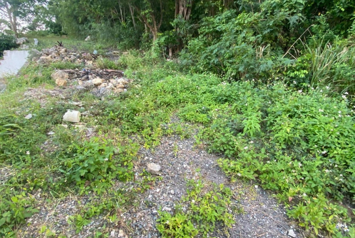 Twenty-Fourth image of Part of Tanglewood in Tanglewood, St. Ann, Jamaica - property is For Sale