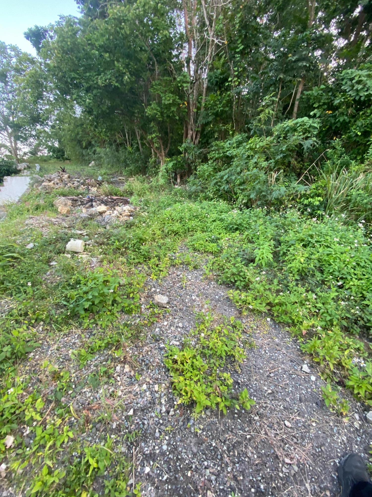 Prime-80.5-Acre-Development-Land-for-Sale-in-St.-Ann-Jamaica Twenty-Fourth image of Part of Tanglewood in Tanglewood, St. Ann, Jamaica - property is For Sale